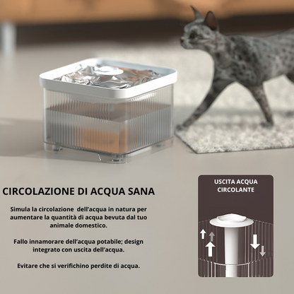 Distributure d'acqua Trasparente 3L WI-FI