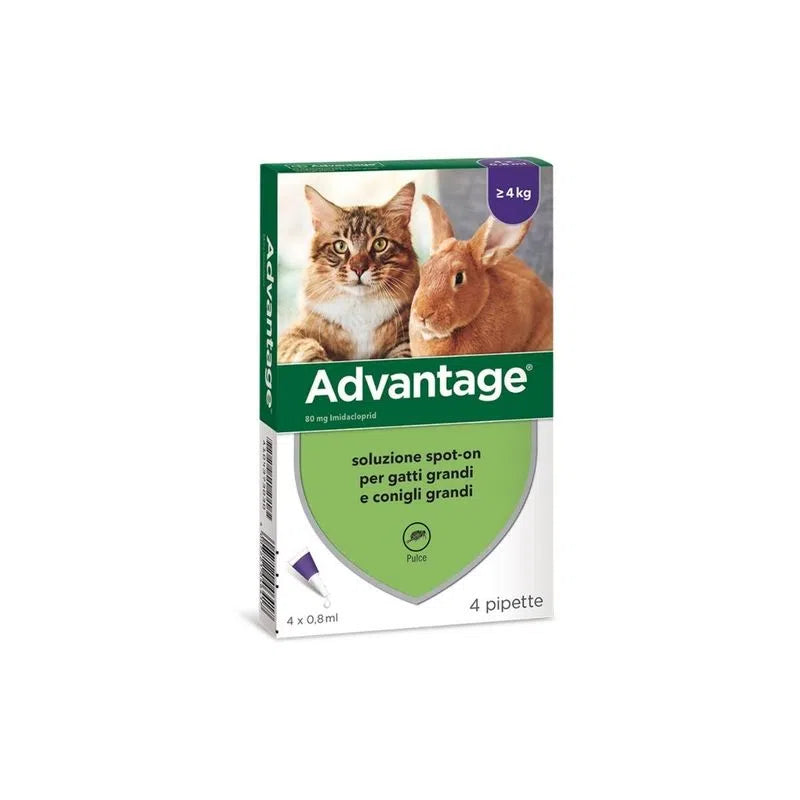 Advantage® soluzione spot-on per gatti e conigli 4 pipette (Kg/Size: 0,1)